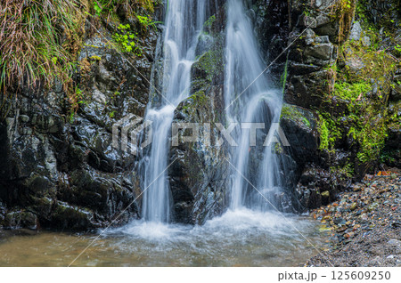 清滝川にそそぐ小さな滝　京都市右京区 125609250