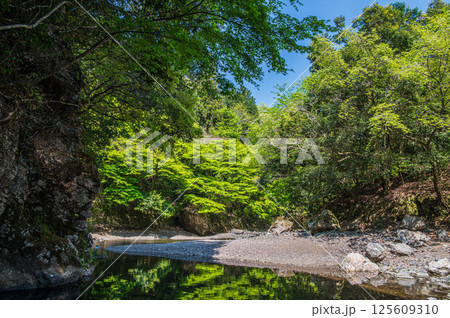 京都の清流　清滝川　京都市右京区 125609310