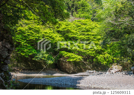 京都の清流 清滝川 京都市右京区 京都の清流 清滝川 京都市右京区 125609311