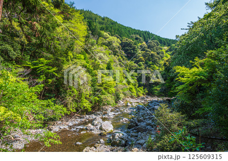 京都の清流 清滝川 京都市右京区 京都の清流 清滝川 京都市右京区 125609315