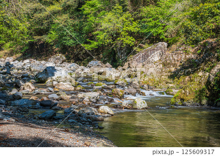 京都の清流 清滝川 京都市右京区 京都の清流 清滝川 京都市右京区 125609317