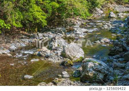 京都の清流　清滝川　京都市右京区 125609422
