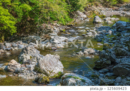 京都の清流 清滝川 京都市右京区 京都の清流 清滝川 京都市右京区 125609423