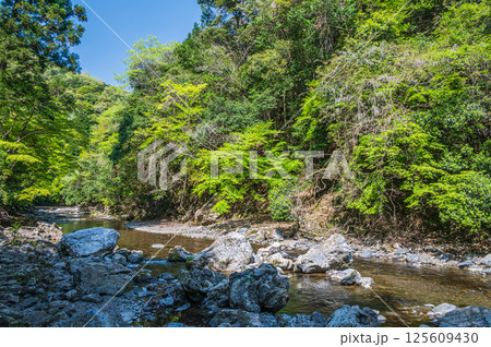 京都の清流 清滝川 京都市右京区 京都の清流 清滝川 京都市右京区 125609430
