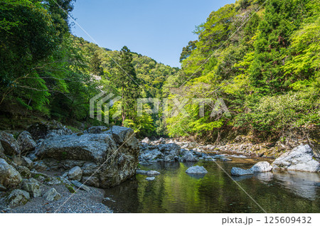 京都の清流　清滝川　京都市右京区 125609432