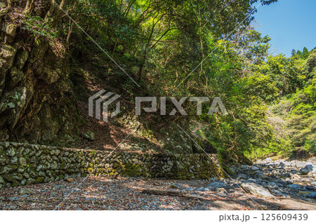 京都の清流 清滝川 京都市右京区 京都の清流 清滝川 京都市右京区 125609439