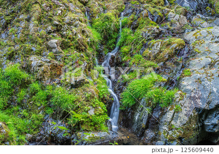 清滝川にそそぐ小さな滝　京都市右京区 125609440