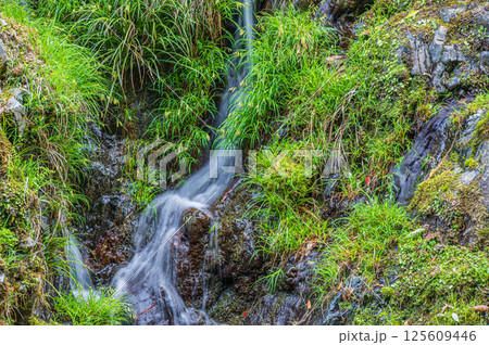 清滝川にそそぐ小さな滝　京都市右京区 125609446