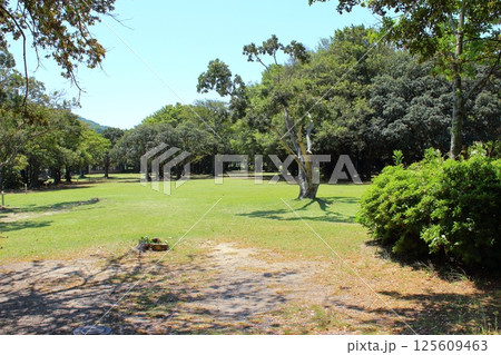 【愛媛県】　足摺宇和海国立公園　須ノ川公園　須ノ川キャンプ場 125609463