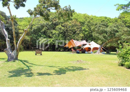 【愛媛県】 足摺宇和海国立公園 須ノ川公園 須ノ川キャンプ場 【愛媛県】 足摺宇和海国立公園 須ノ川公園 須ノ川キャンプ場 125609468