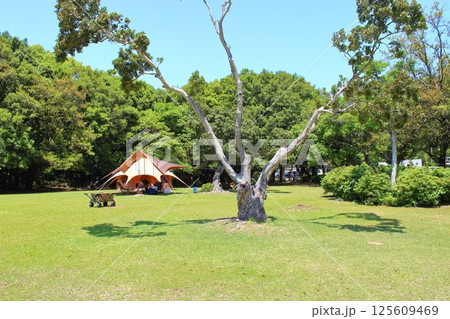 【愛媛県】　足摺宇和海国立公園　須ノ川公園　須ノ川キャンプ場 125609469