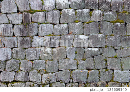 石垣素材　テクスチャ 125609540