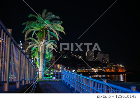 夜の熱海サンビーチ スロープとヤシの木 夜の熱海サンビーチ スロープとヤシの木 125610145