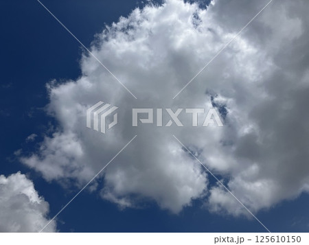 春 春 125610150