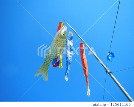 青空に元気に泳ぐ鯉のぼり 125611160
