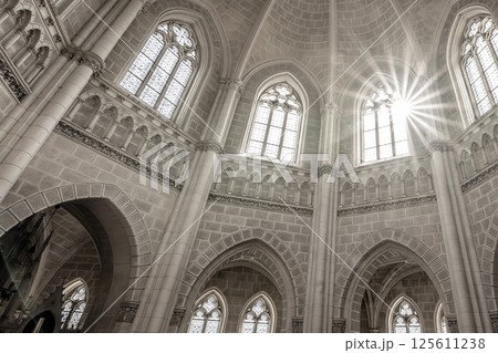 Sunlight streams through the ornate gothic windows of the Schwarzenberg Tomb, illuminating the stunning architecture and intricate stone details in Domanin, Czechia. 125611238