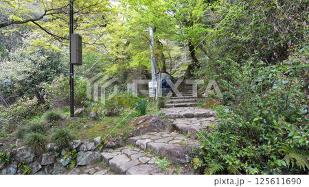 竜吟の滝　瑞浪市 125611690