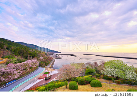 宮城県慶長使節船ミュージアム 宮城県慶長使節船ミュージアム 125611698