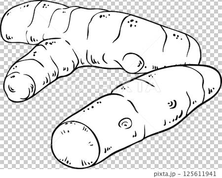 Turmeric Root Outline Illustration Turmeric Root Outline Illustration 125611941
