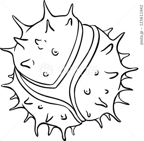 Chestnut Nut Outline Illustration. Chestnut Nut Outline Illustration. 125611942