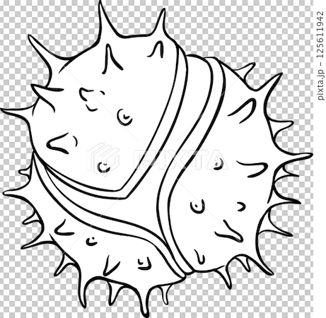 Chestnut Nut Outline Illustration. Chestnut Nut Outline Illustration. 125611942