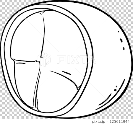 Cupuacu Fruit and Outline Illustration. 125611944