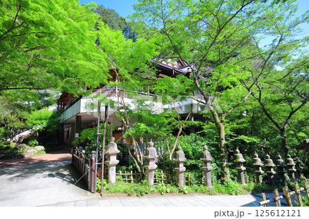 【福岡県】晴天の南蔵院本堂 125612121