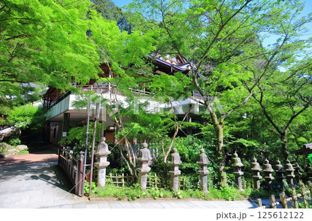 【福岡県】晴天の南蔵院本堂 【福岡県】晴天の南蔵院本堂 125612122