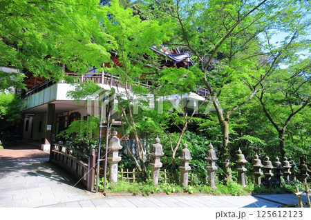 【福岡県】晴天の南蔵院本堂 125612123