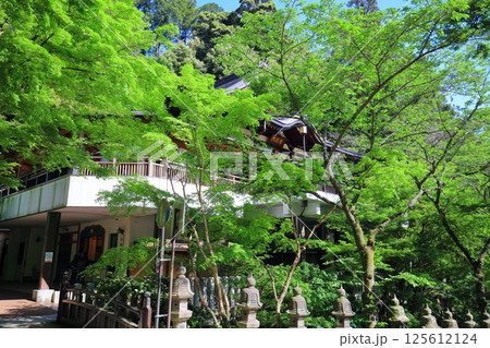 【福岡県】晴天の南蔵院本堂 【福岡県】晴天の南蔵院本堂 125612124