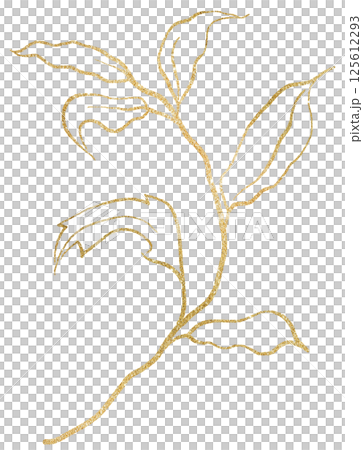 Hand drawn twig with leaves, golden outlines, isolated illustration, wedding stationery element 125612293