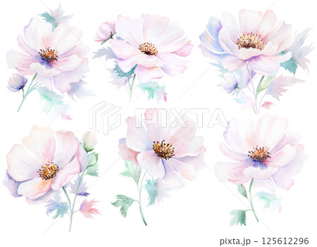 Watercolor pink peony flowers with bud and leaves, pastel romantic wedding isolated illustration 125612296