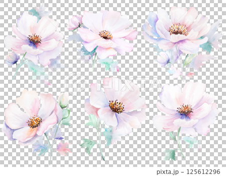 Watercolor pink peony flowers with bud and leaves, pastel romantic wedding isolated illustration 125612296