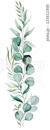 Vertical bouquet with green watercolor eucalyptus leaves, pastel wedding isolated illustration 125612300