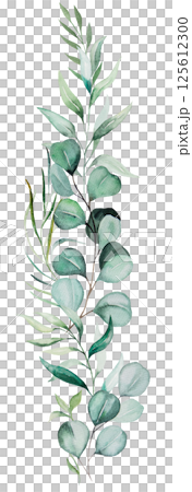 Vertical bouquet with green watercolor eucalyptus leaves, pastel wedding isolated illustration Vertical bouquet with green watercolor eucalyptus leaves, pastel wedding isolated illustration 125612300