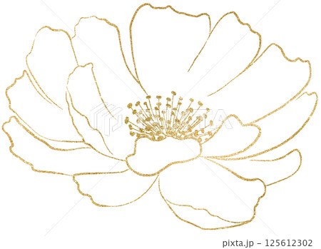 Hand drawn peony flower golden outlines silhouette, wedding isolated illustration element 125612302