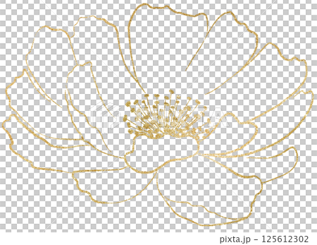 Hand drawn peony flower golden outlines silhouette, wedding isolated illustration element 125612302