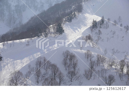 陽が差すスキー場の斜面 125612617