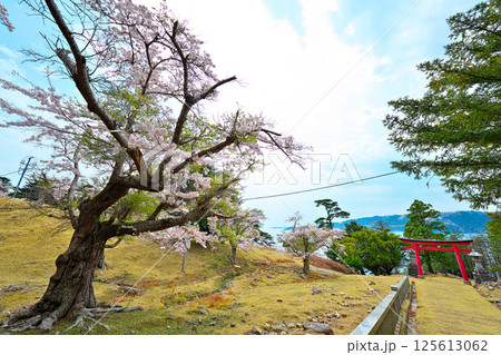 金華山の黄金山神社 金華山の黄金山神社 125613062