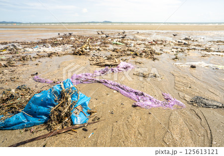 Polluted beach landscape showing discarded plastic waste and garbage scattered across coastal sand, environmental impact revealing marine ecosystem threat during tourist season, conservation awareness 125613121