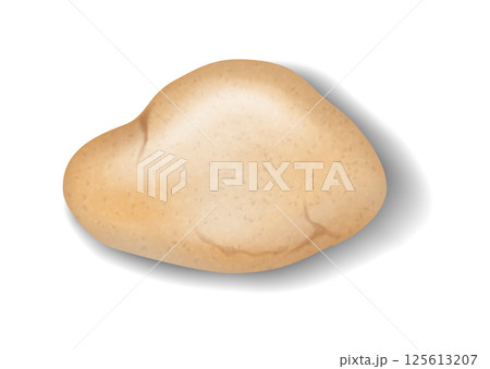 Realistic Illustration of Brown Potato Isolated 125613207