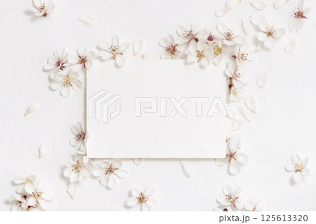 Blank horizontal paper card near white cherry flowers top view, spring wedding mockup 125613320