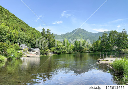 新緑の湯布院金鱗湖 125613653