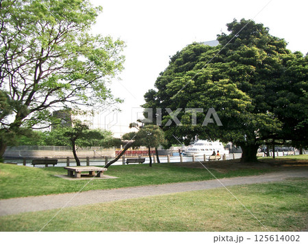 浜離宮の海辺のベンチエリア（東京都中央区） 125614002