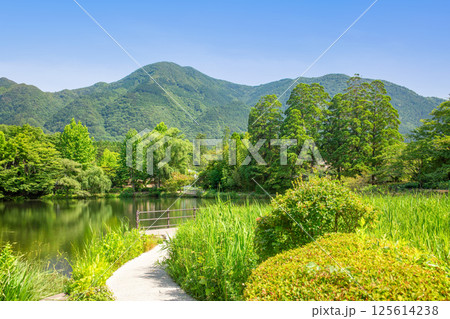 新緑の湯布院金鱗湖 125614238