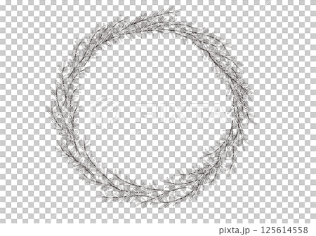 天然迷迭香葉,手繪線條描 天然迷迭香葉,手繪線條描 125614558