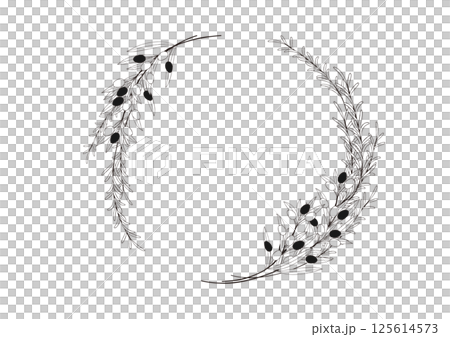 Natural olive and rosemary hand-drawn line drawing swag 125614573
