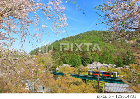 水郡線「桜咲く春の矢祭山を走る赤い列車」久慈川第9橋梁 125614733