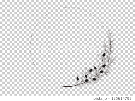 Natural olive and rosemary hand-drawn line frame 125614795