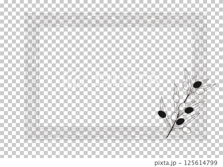 Natural olive hand-drawn line drawing, frame and branch of olive 125614799
